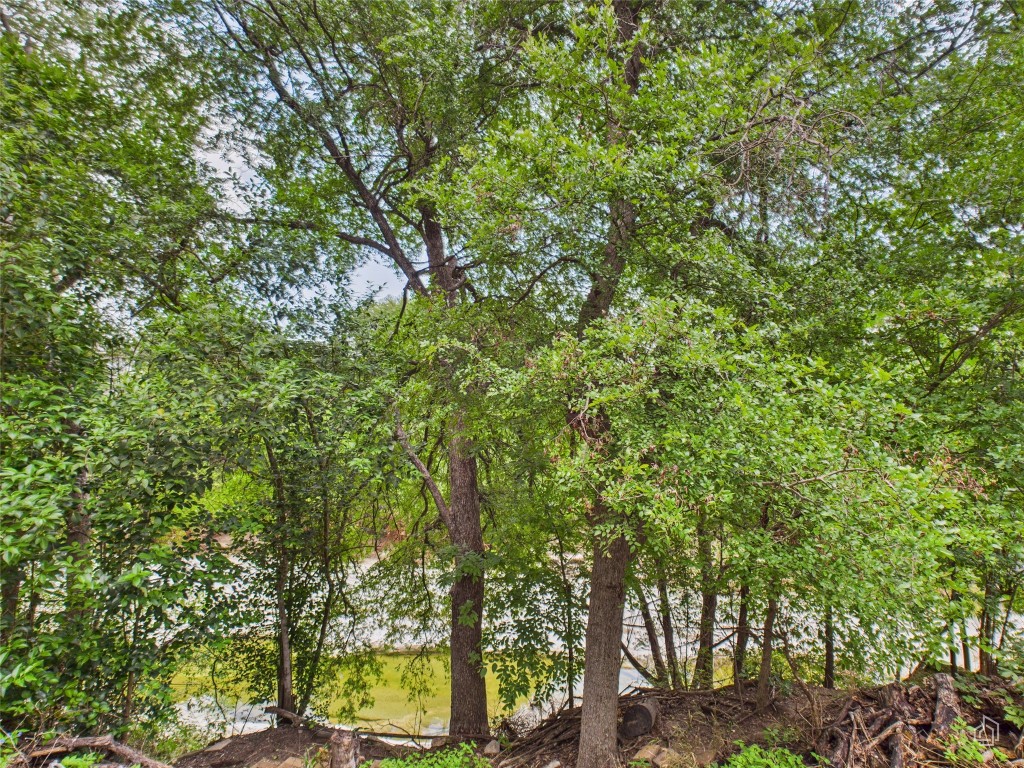 7019 Creighton Lane Austin, TX 78723 - Photo 40 of 40 a view of a tree