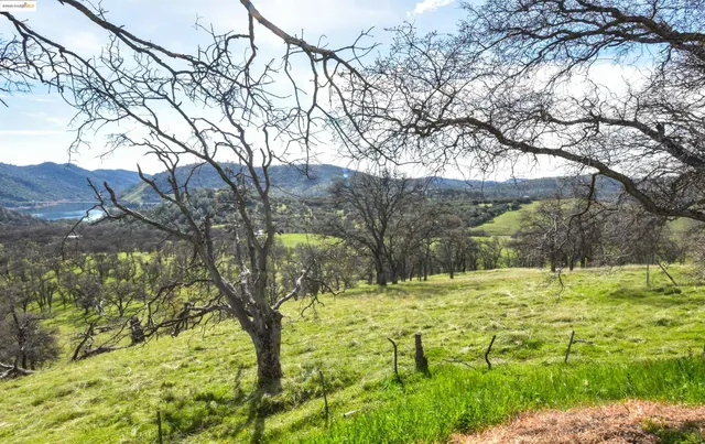 a backyard of a house with yard and outdoor seating