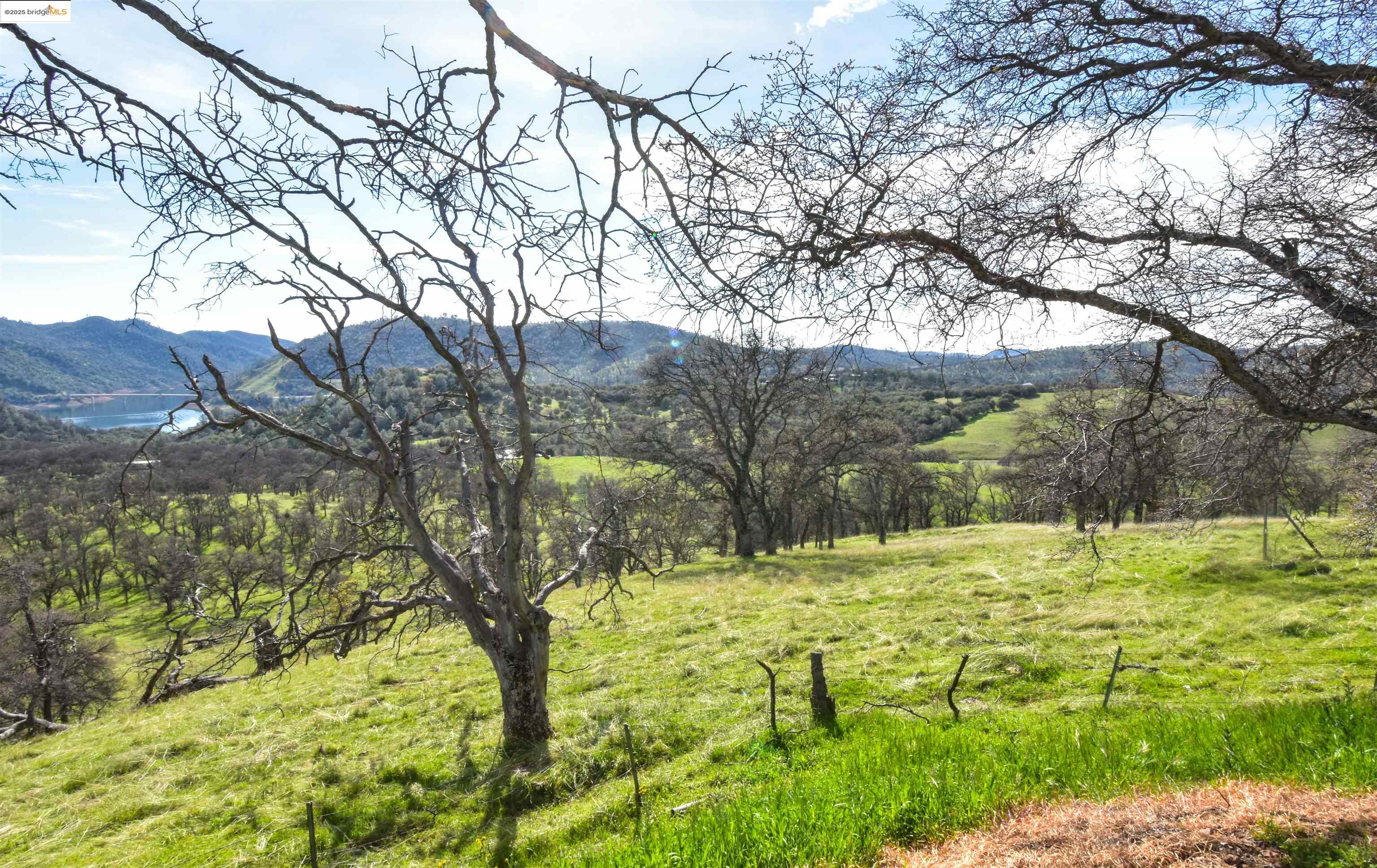 13300 Lone Bend Road Jamestown, CA 95327 - Photo 37 of 50 a view of a yard with a tree