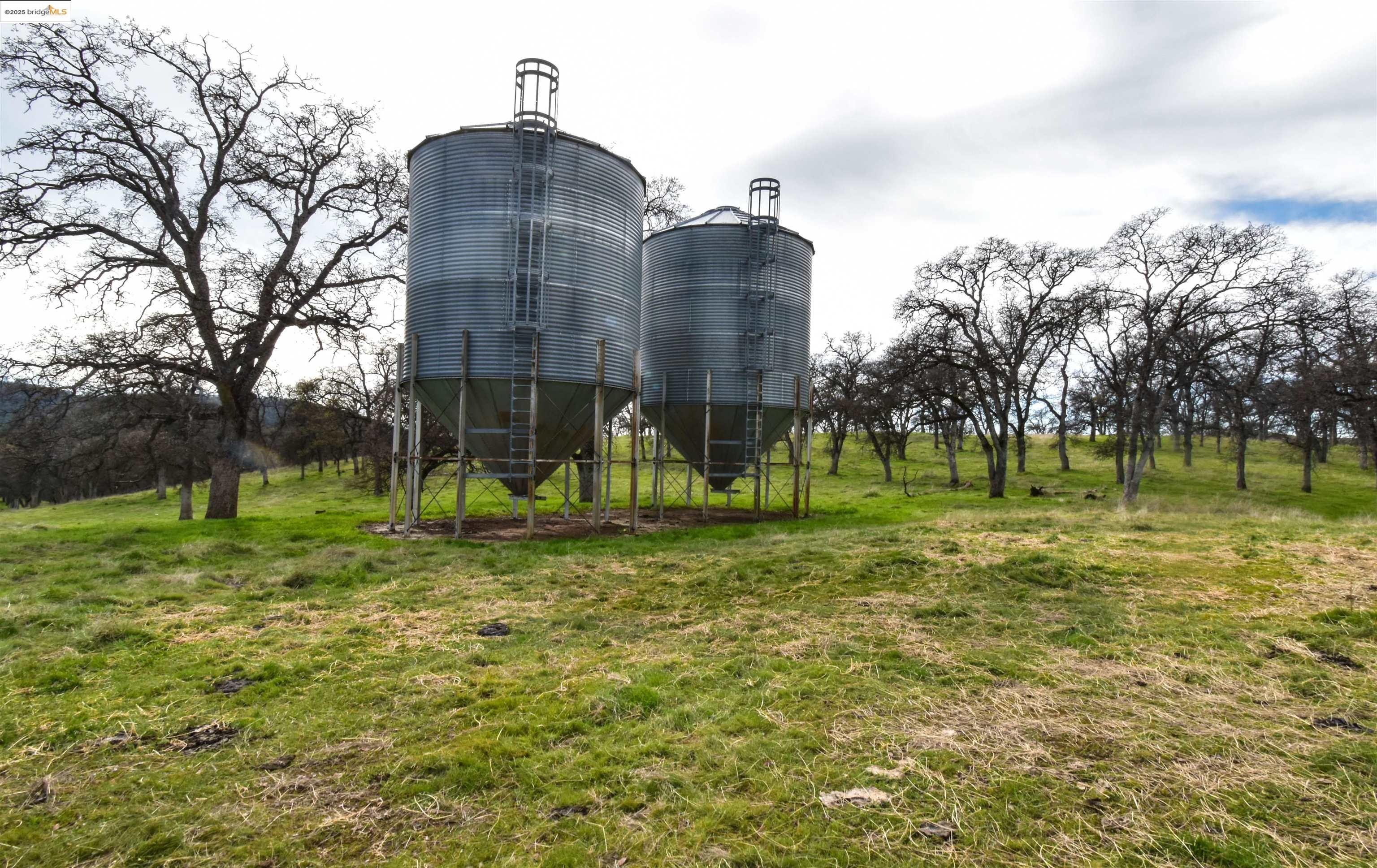 13300 Lone Bend Road Jamestown, CA 95327 - Photo 44 of 50 a view of a big yard in front of a house