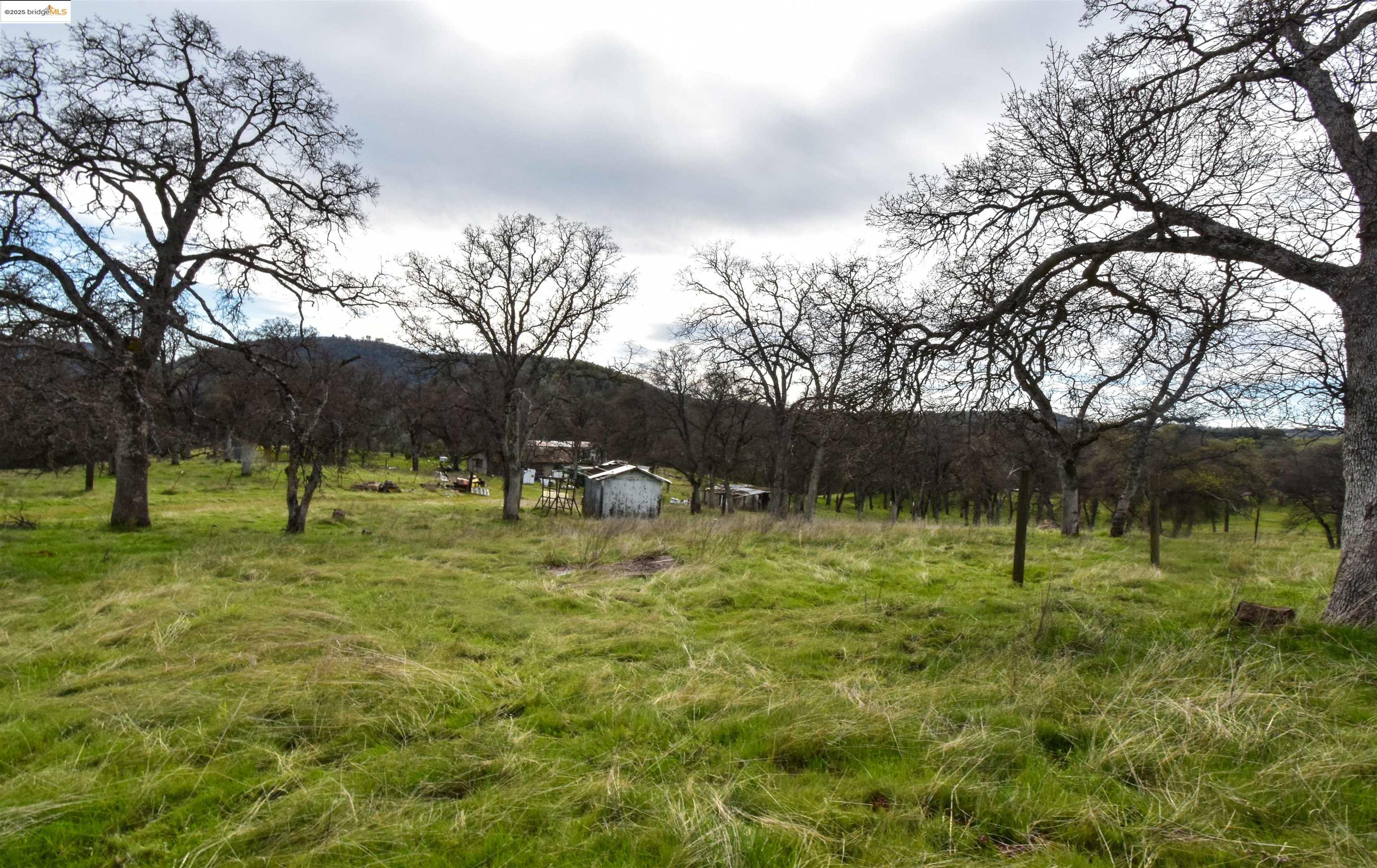 13300 Lone Bend Road Jamestown, CA 95327 - Photo 45 of 50 a view of grassy field with trees