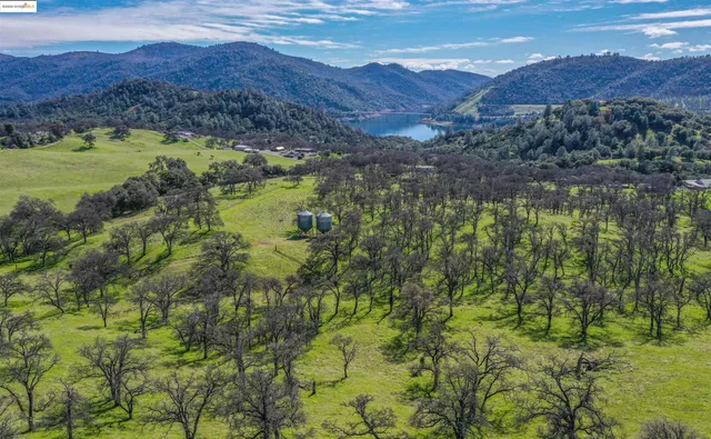 a view of a forest with mountains in the background