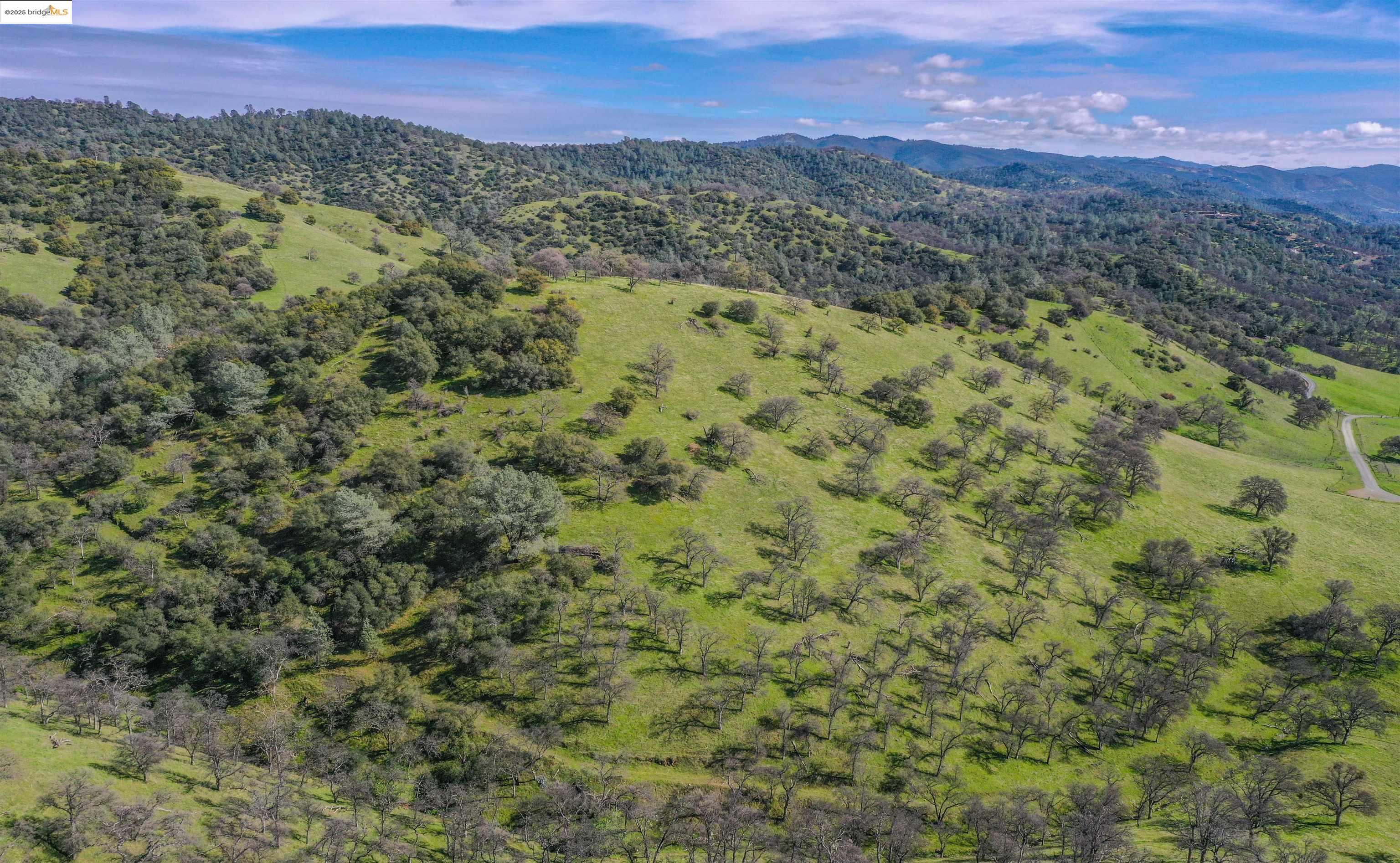 13300 Lone Bend Road Jamestown, CA 95327 - Photo 49 of 50 a view of a forest with mountains in the background