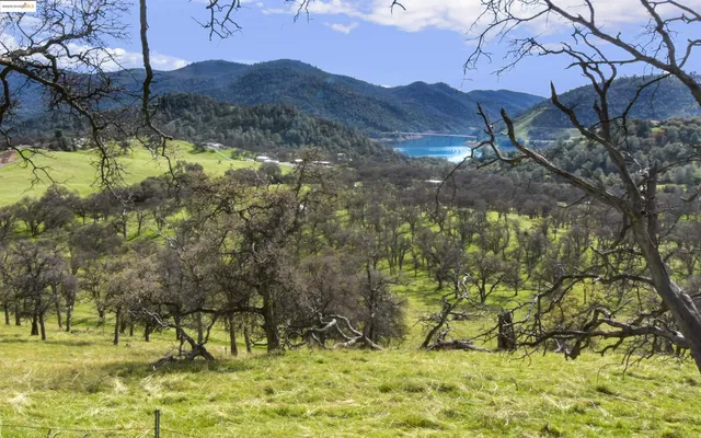 a view of a yard with an trees