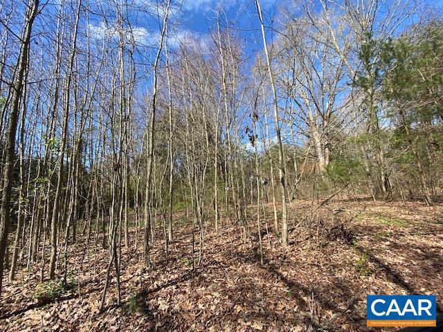 841 Rising Sun Road Mineral, VA 23117 - Photo 1 of 3 Gallery Image 1