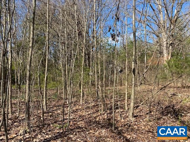 841 Rising Sun Road Mineral, VA 23117 - Photo 2 of 3 Gallery Image 2