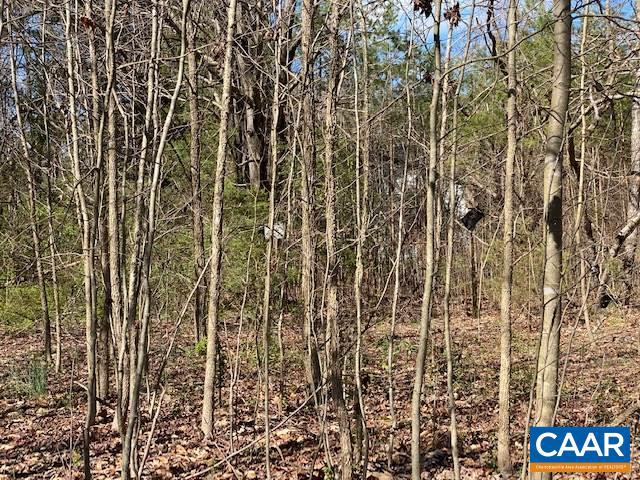 841 Rising Sun Road Mineral, VA 23117 - Photo 3 of 3 Gallery Image 3