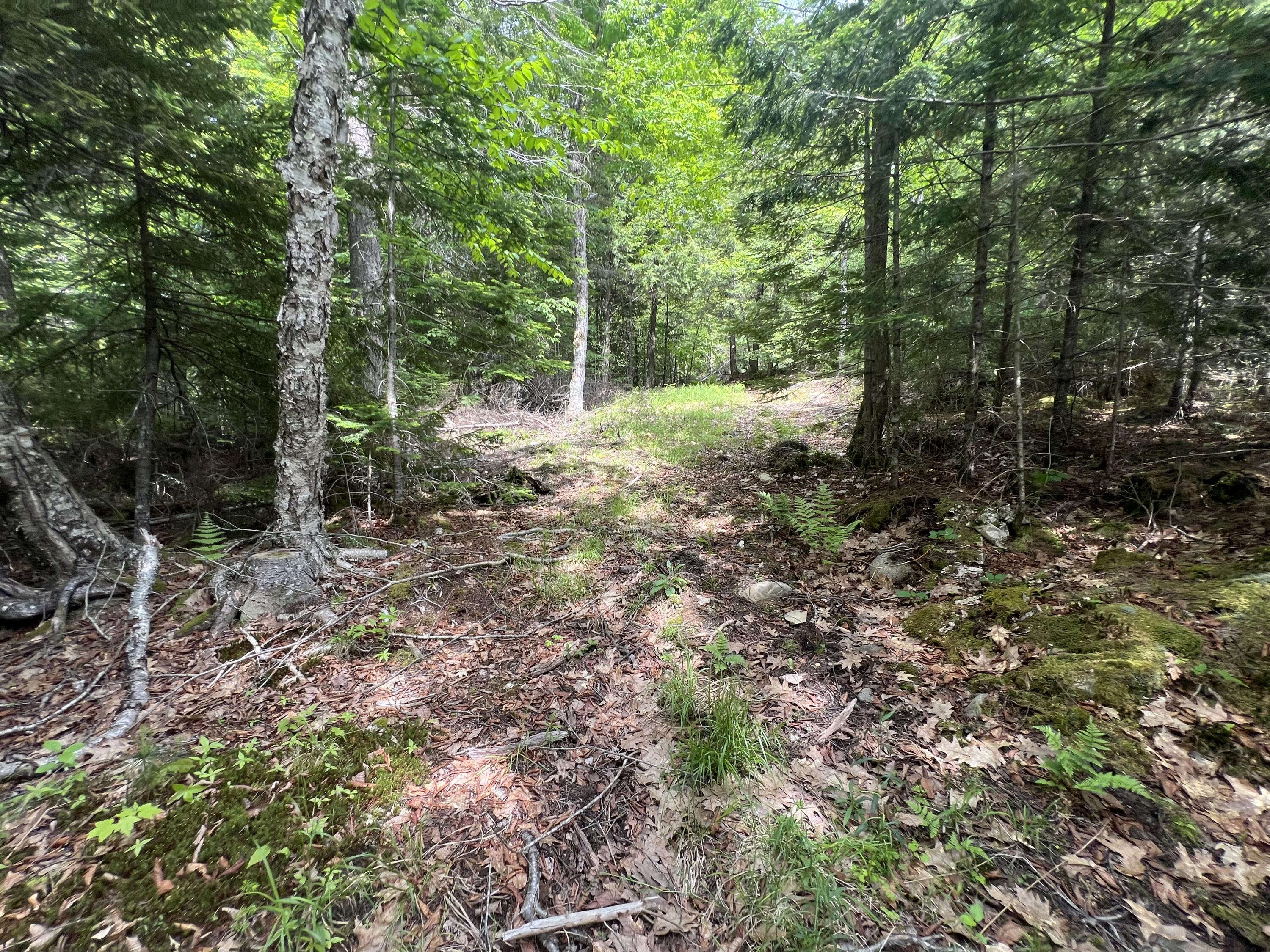 Tbd Tbd Marks Mountain Way Dedham, ME 04429 - Photo 4 of 9 image1