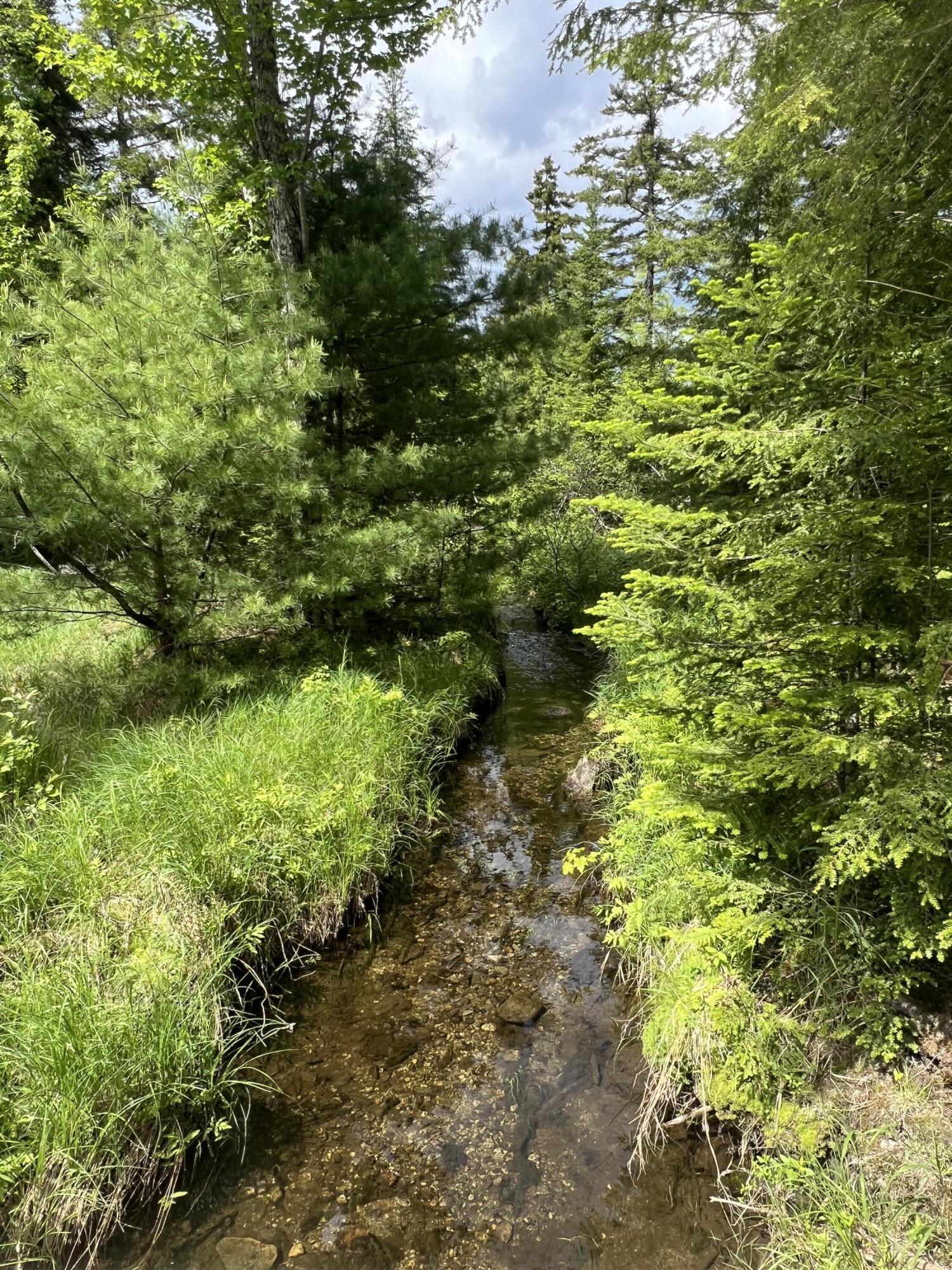 Tbd Tbd Marks Mountain Way Dedham, ME 04429 - Photo 5 of 9 image3