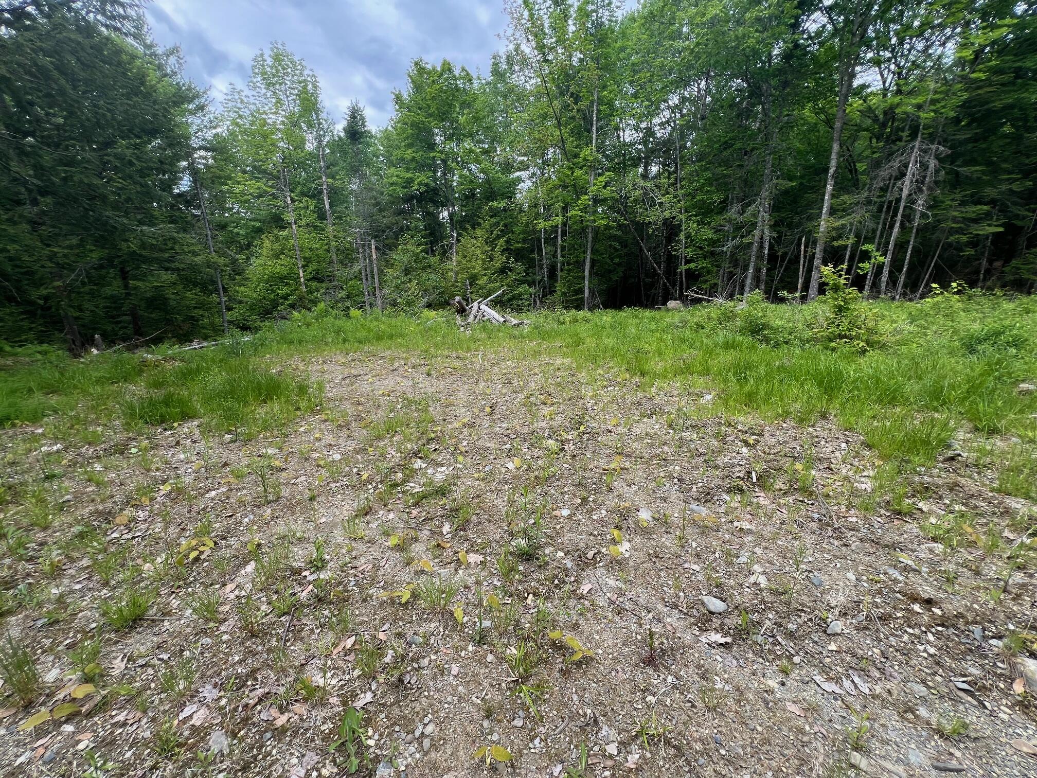 Tbd Tbd Marks Mountain Way Dedham, ME 04429 - Photo 7 of 9 IMG_3157