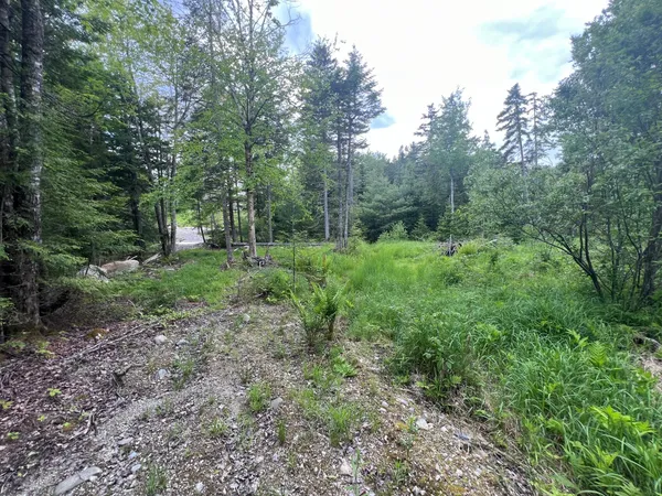 $55,000 | Tbd Tbd Marks Mountain Way, Dedham, ME 04429