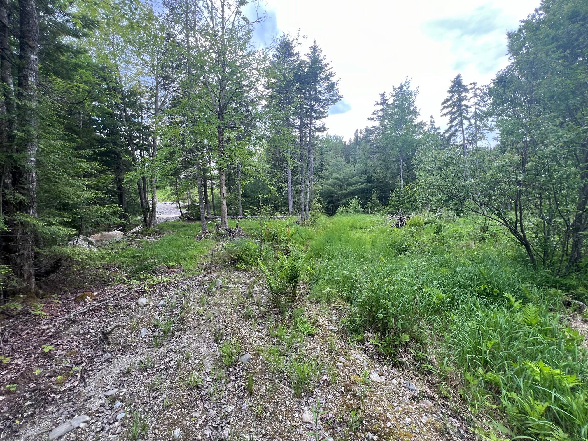 Tbd Tbd Marks Mountain Way Dedham, ME 04429 - Photo 8 of 9 IMG_3161