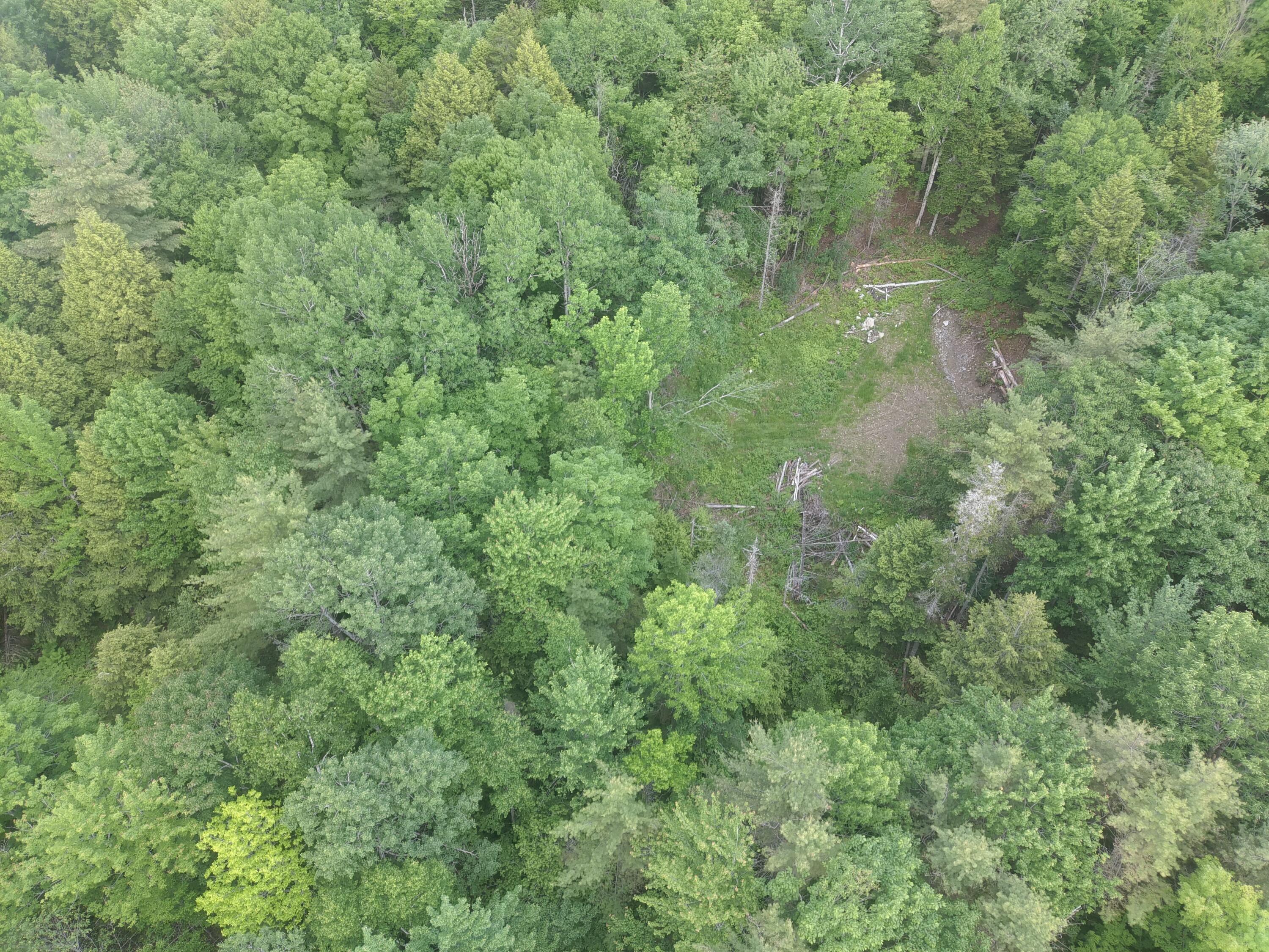 Tbd Tbd Marks Mountain Way Dedham, ME 04429 - Photo 9 of 9 MAX_0003