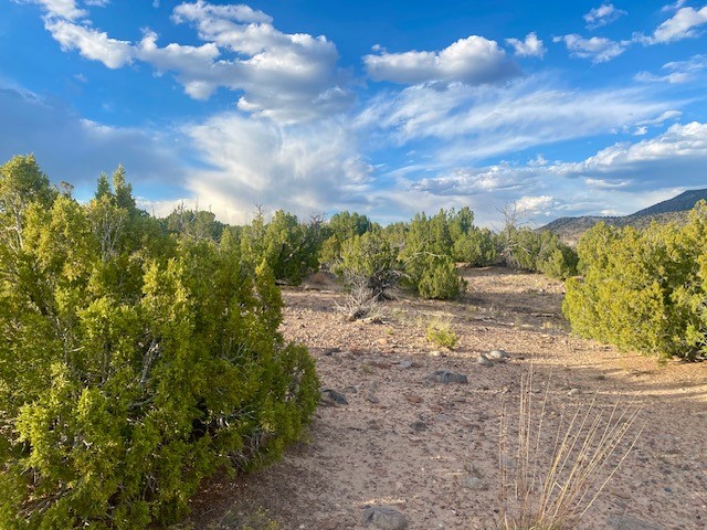 Lot 79 County Road Abiquiu, NM 87510 - Photo 6 of 11