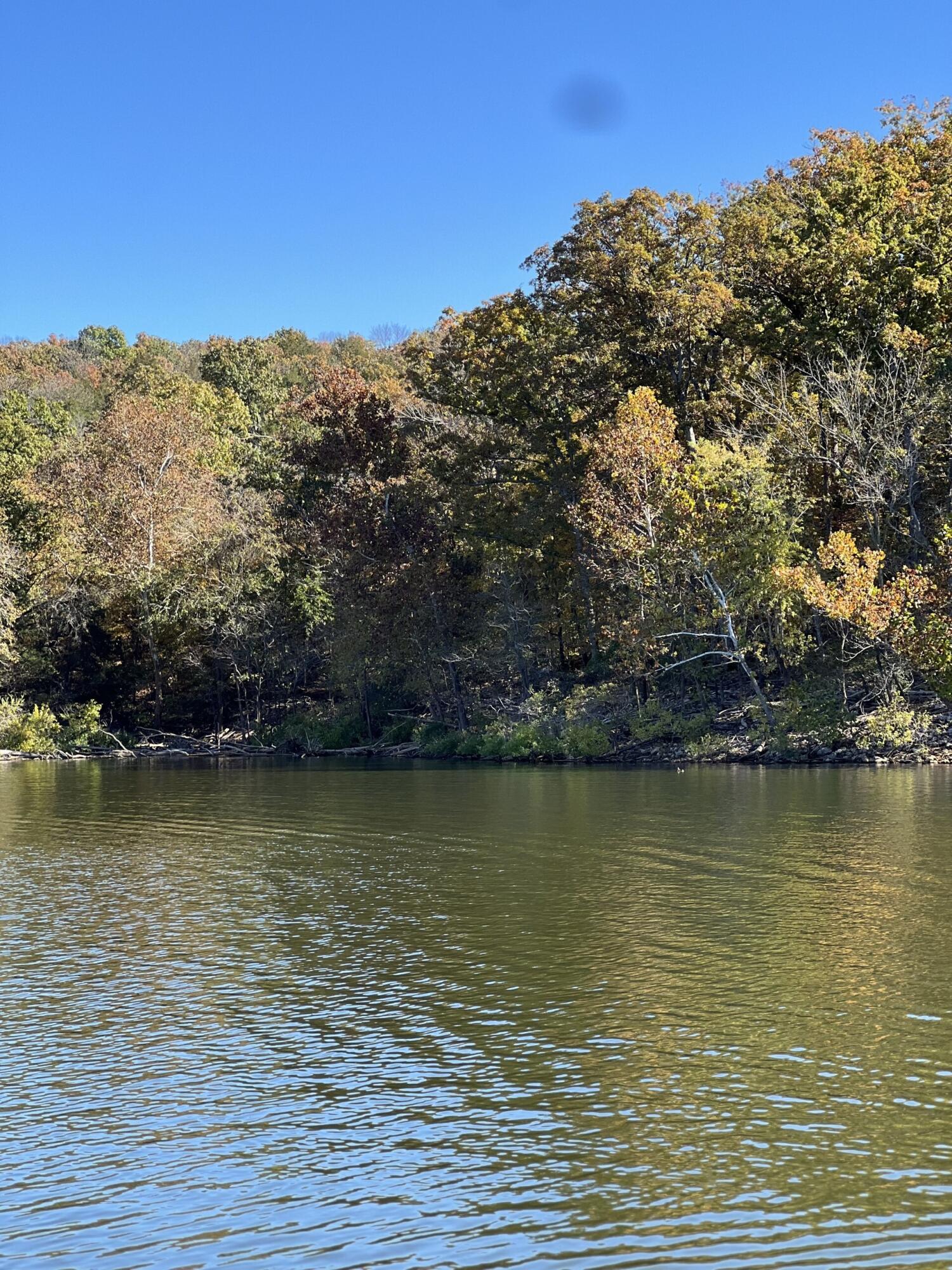 Lot 1 Fox Fire Lane Shell Knob, MO 65747 - Photo 5 of 13 Lake 5