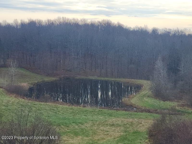 6244 Fiddle Lake Road Union Dale, PA 18470 - Photo 18 of 29 Gallery Image 18