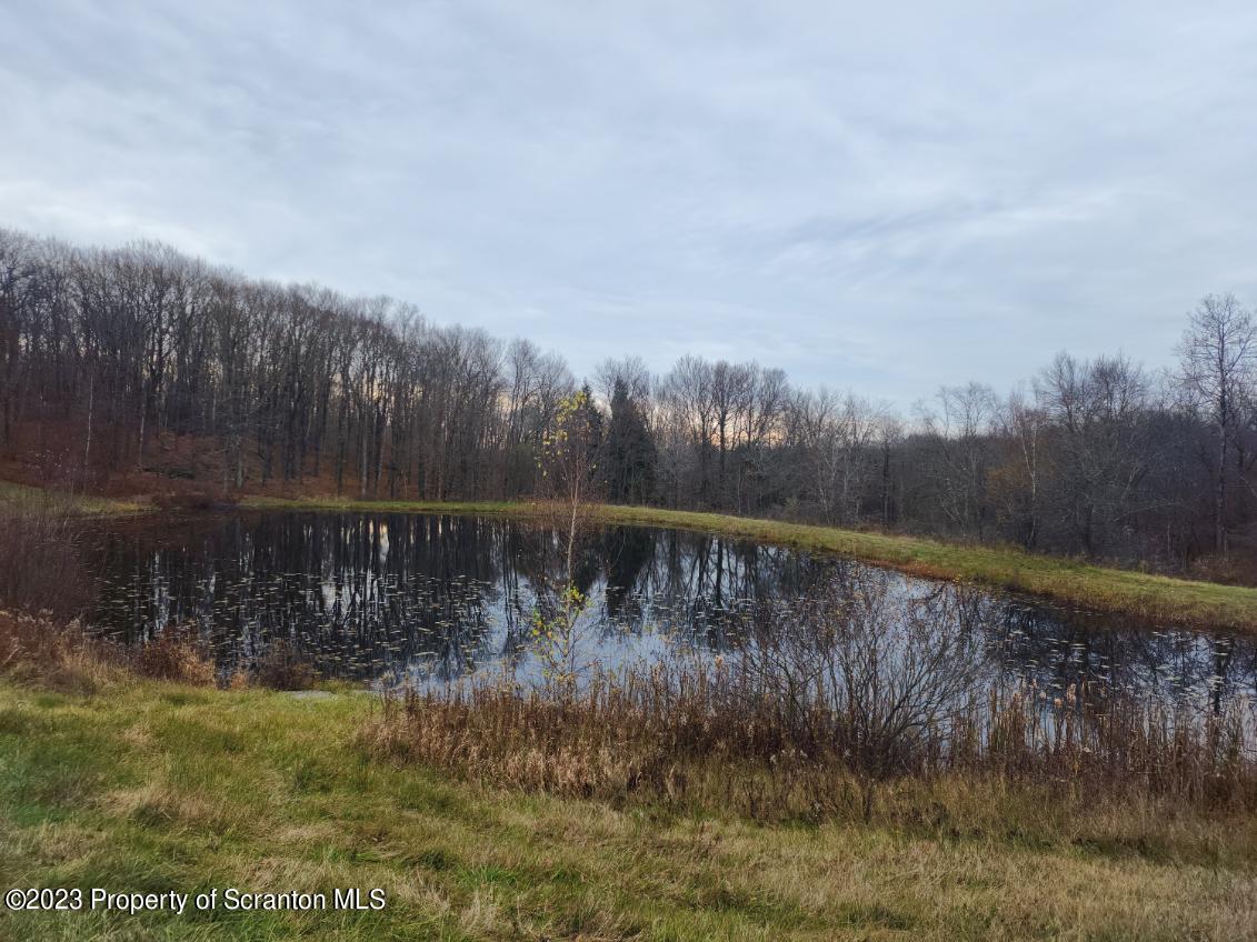 6244 Fiddle Lake Road Union Dale, PA 18470 - Photo 20 of 29 Gallery Image 20