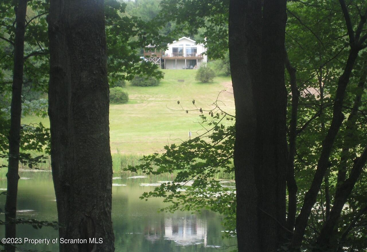 6244 Fiddle Lake Road Union Dale, PA 18470 - Photo 22 of 29 Gallery Image 22