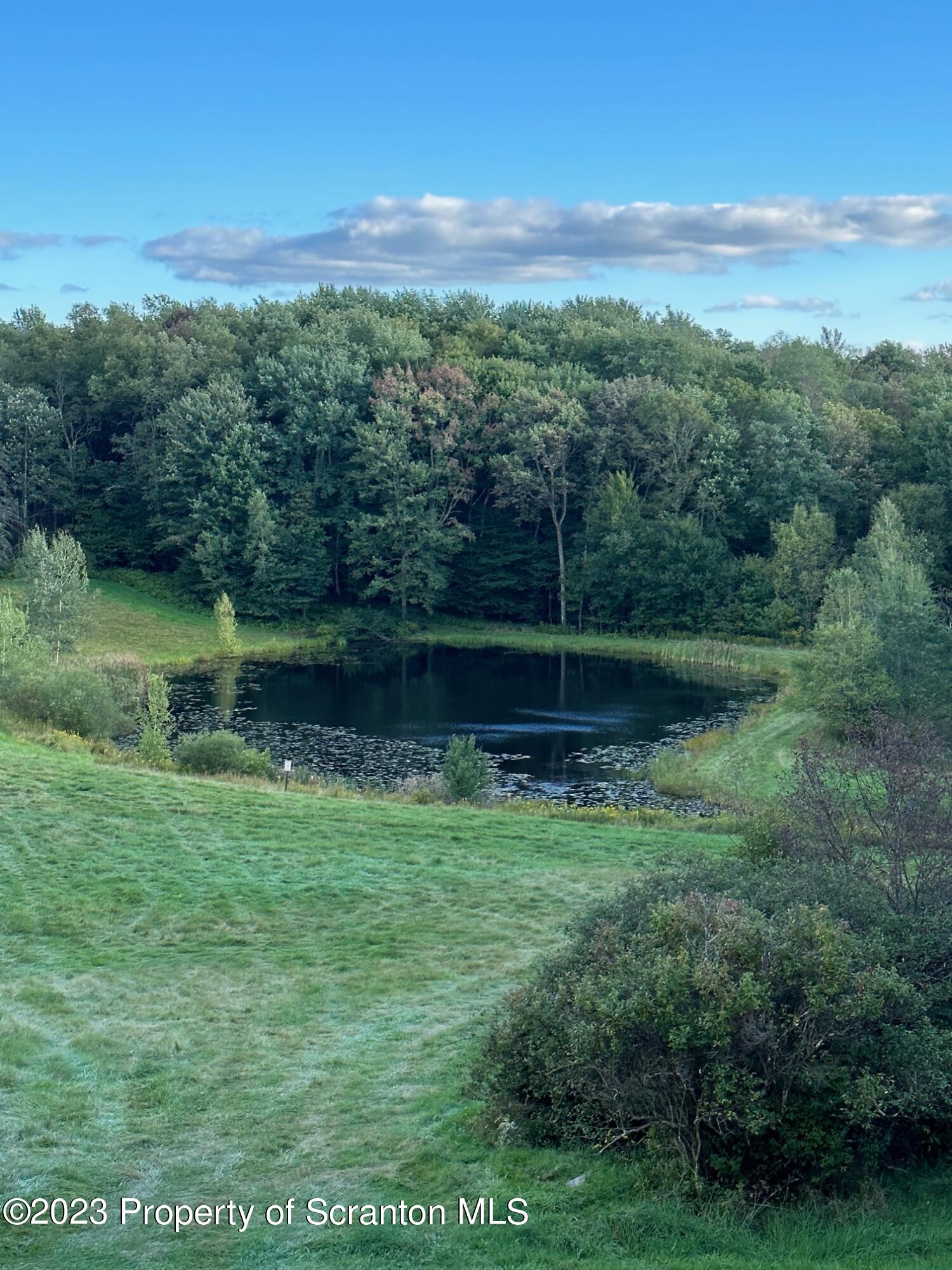6244 Fiddle Lake Road Union Dale, PA 18470 - Photo 24 of 29 Gallery Image 24