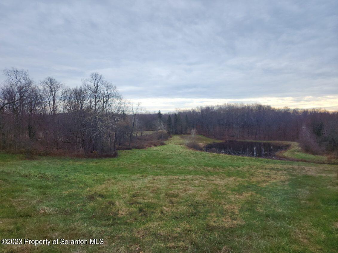 6244 Fiddle Lake Road Union Dale, PA 18470 - Photo 26 of 29 Gallery Image 26