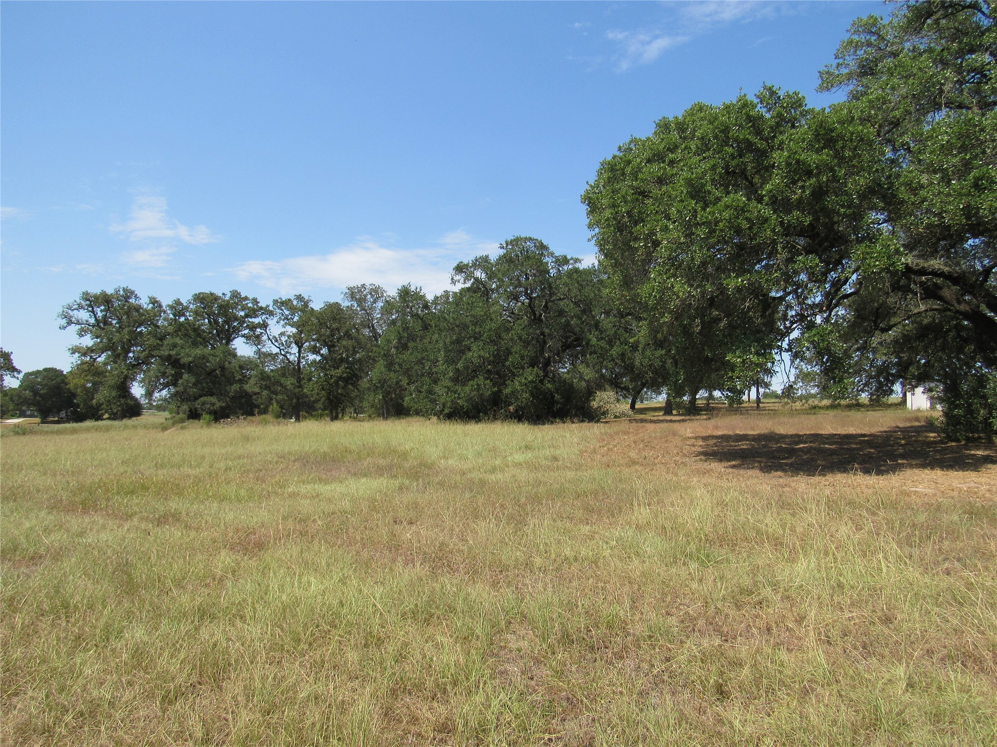 7863 FM 332 Road Brenham, TX 77833 - Photo 10 of 26 Gallery Image 10