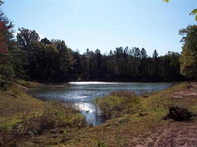 186 Lake Barbara Road Pickens, SC 29671 - Photo 1 of 7