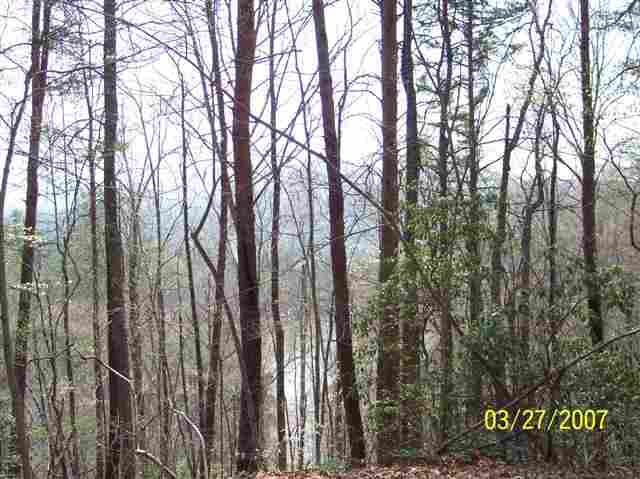 186 Lake Barbara Road Pickens, SC 29671 - Photo 3 of 7