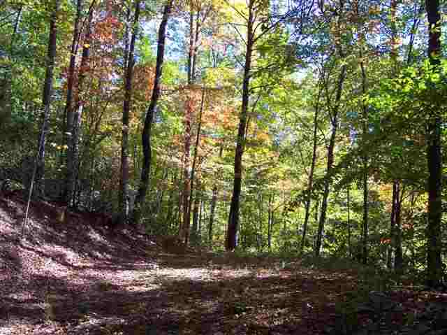 186 Lake Barbara Road Pickens, SC 29671 - Photo 4 of 7
