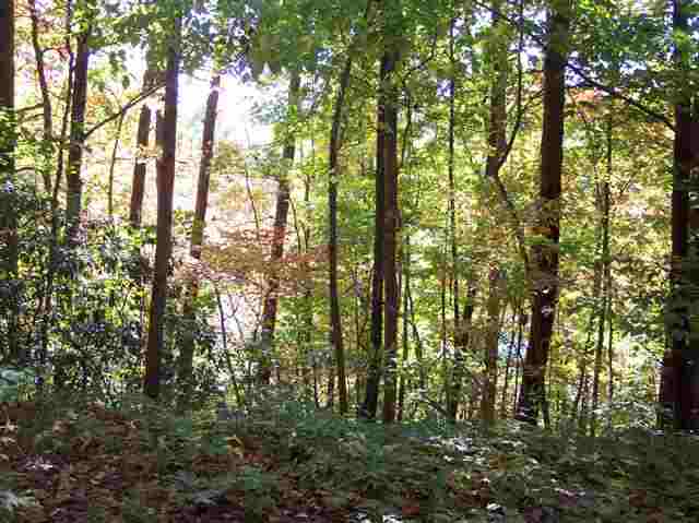 186 Lake Barbara Road Pickens, SC 29671 - Photo 5 of 7