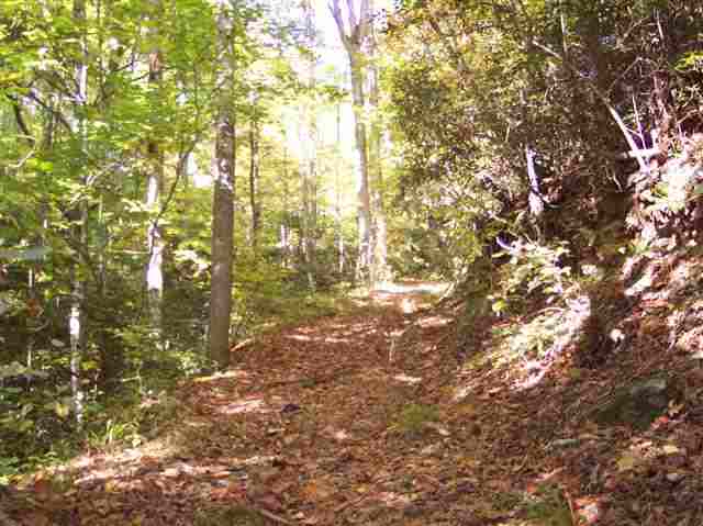186 Lake Barbara Road Pickens, SC 29671 - Photo 7 of 7