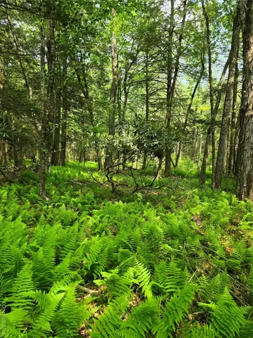 $150,000 | Lot 4 Deer Meadow Road, White Lake, NY 12786