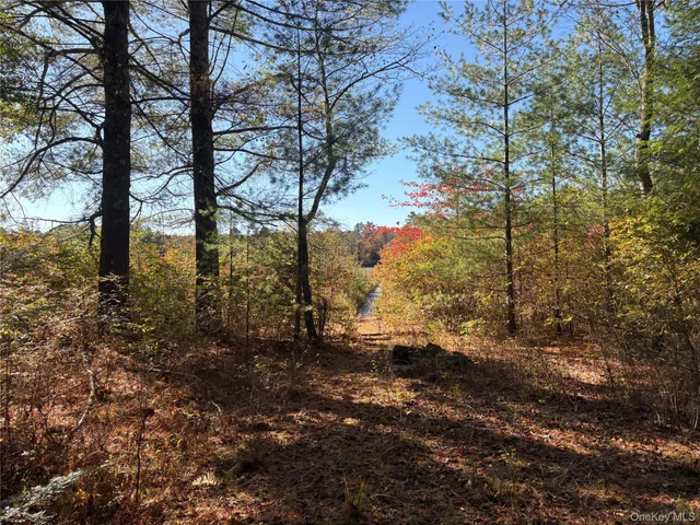 $150,000 | Lot 4 Deer Meadow Road, White Lake, NY 12786
