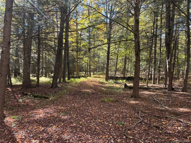 $150,000 | Lot 4 Deer Meadow Road, White Lake, NY 12786