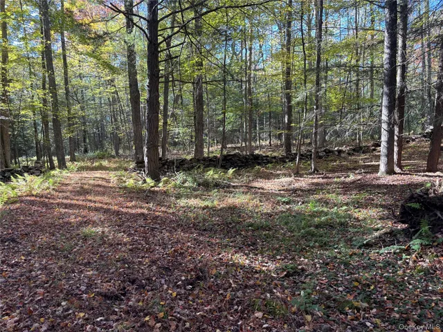 $150,000 | Lot 4 Deer Meadow Road, White Lake, NY 12786