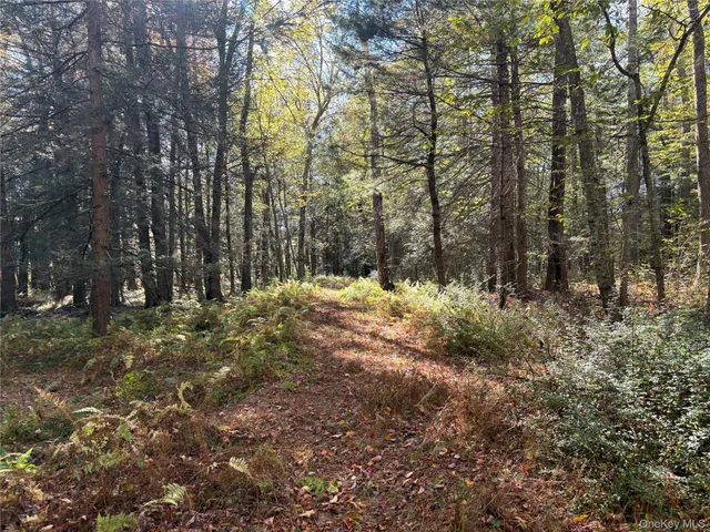 $150,000 | Lot 4 Deer Meadow Road, White Lake, NY 12786