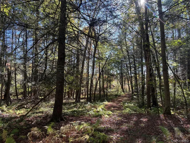 $150,000 | Lot 4 Deer Meadow Road, White Lake, NY 12786