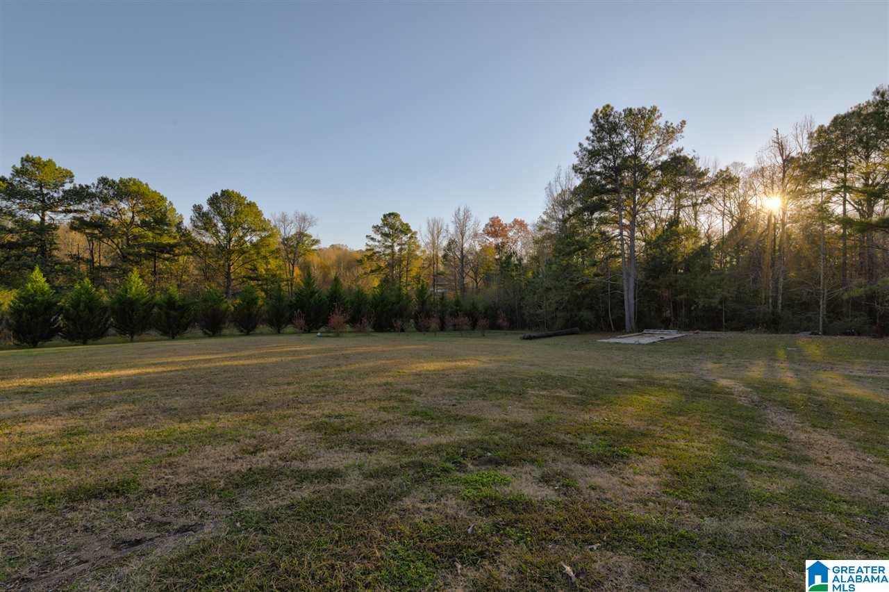 162 Highway 433 Chelsea, AL 35043 - Photo 32 of 38