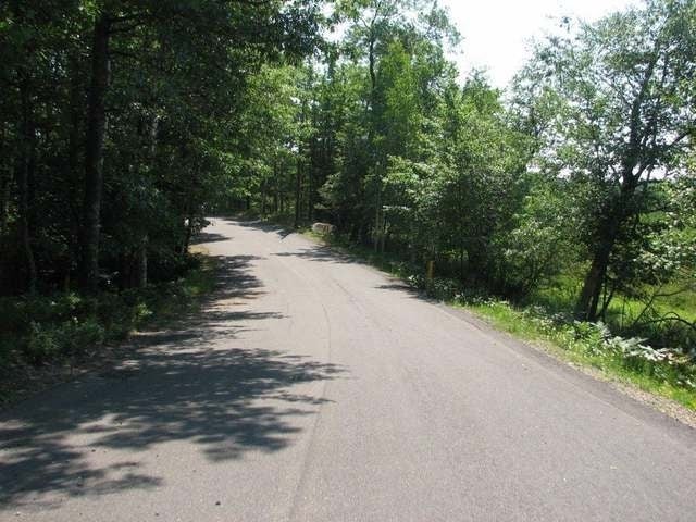 Lot 44 Doolittle Road Minocqua, WI 54548 - Photo 4 of 20 Gallery Image 4