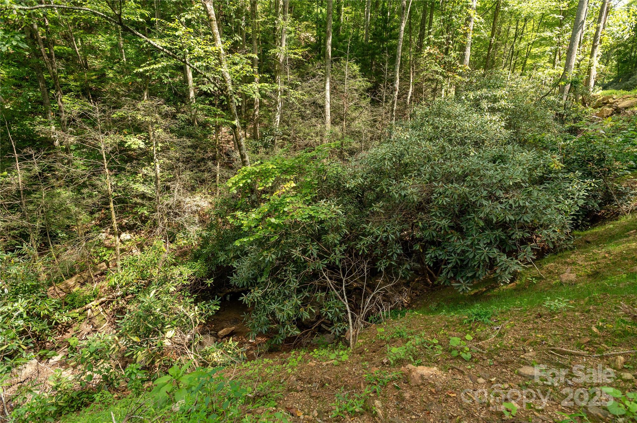 99999 Christian Creek Road Swannanoa, NC 28778 - Photo 3 of 9 a view of a forest