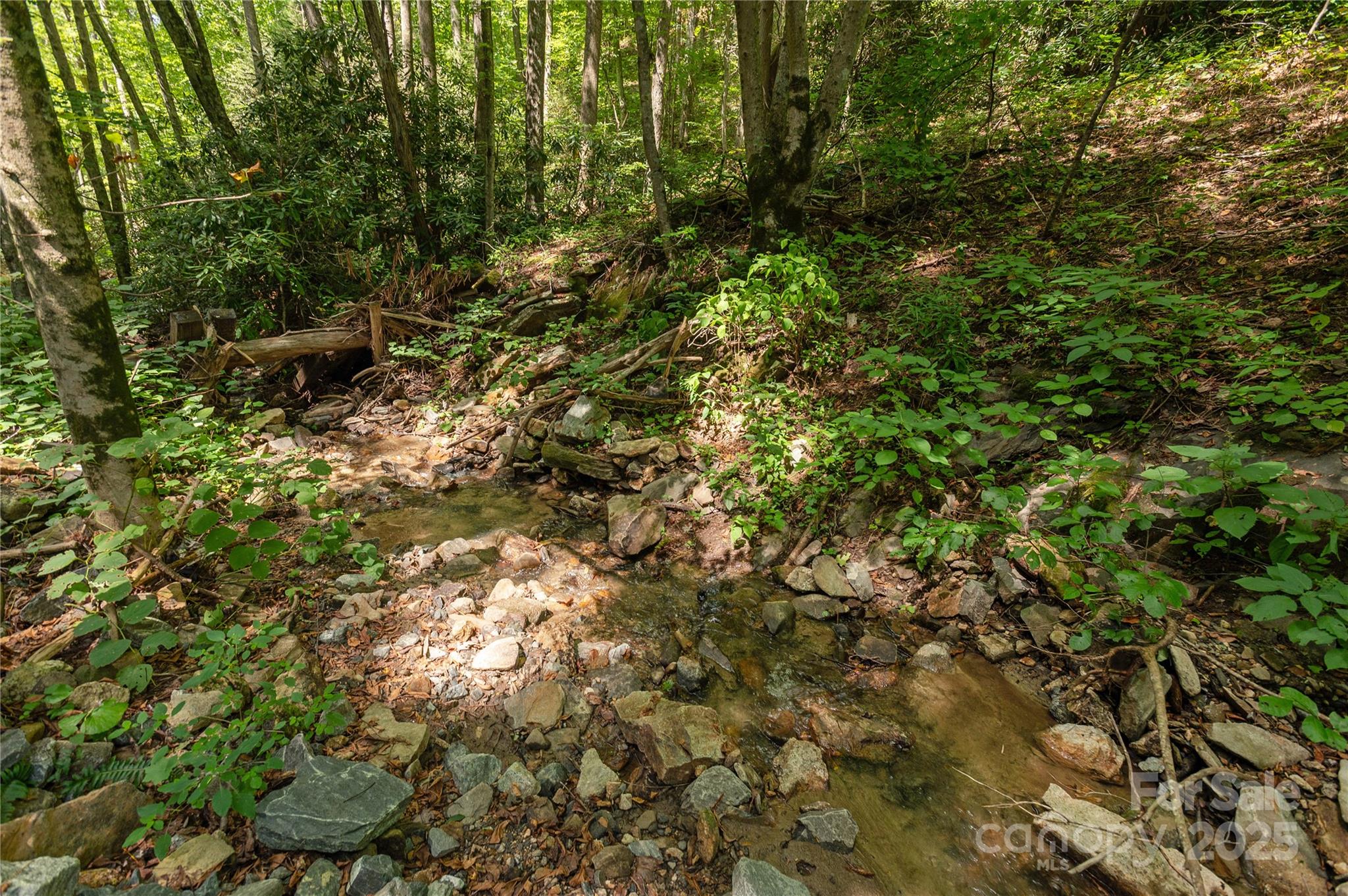 99999 Christian Creek Road Swannanoa, NC 28778 - Photo 4 of 9 a view of a lush green forest