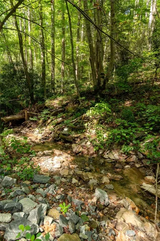 a view of outdoor space and trees