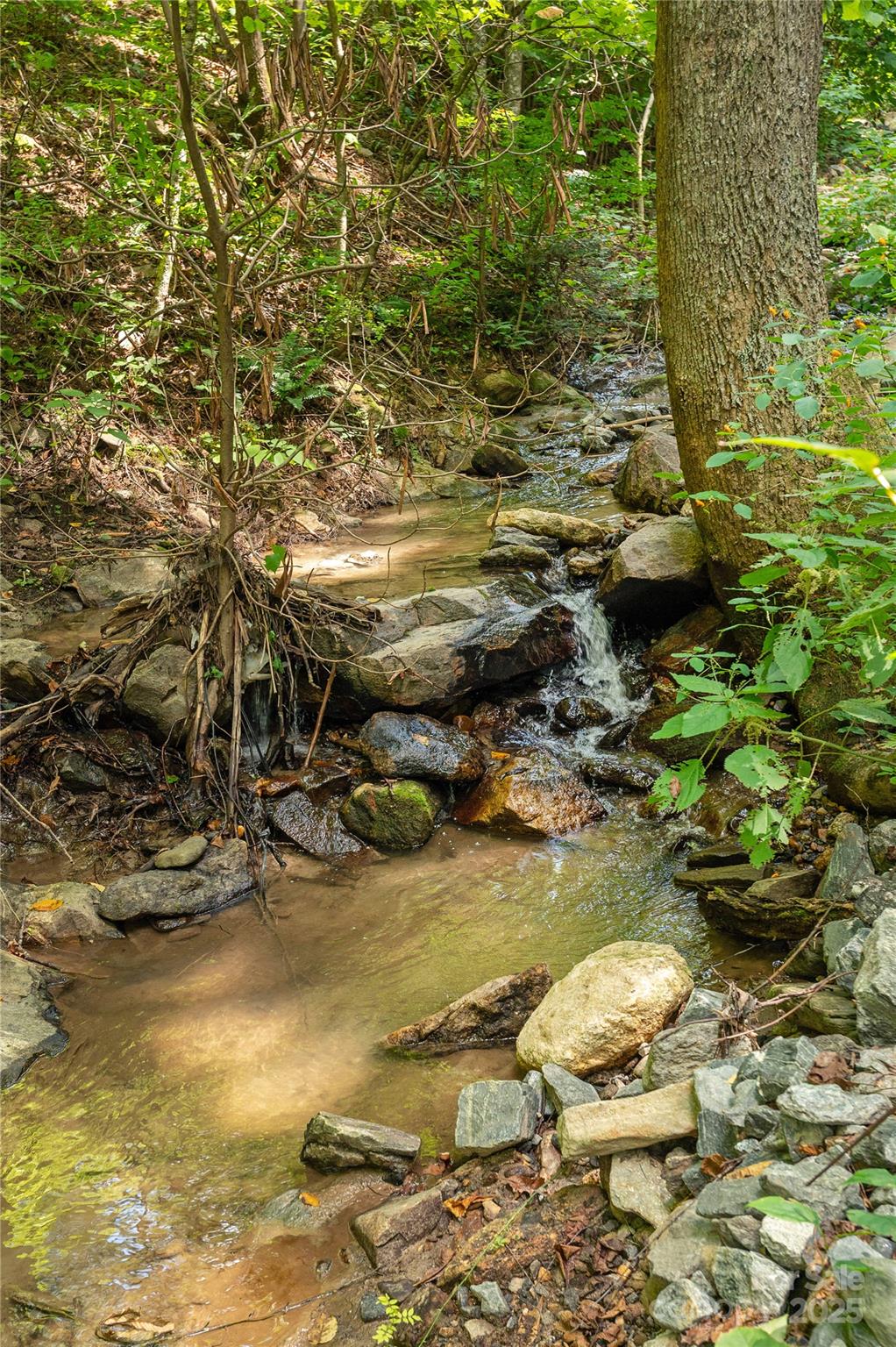 99999 Christian Creek Road Swannanoa, NC 28778 - Photo 6 of 9