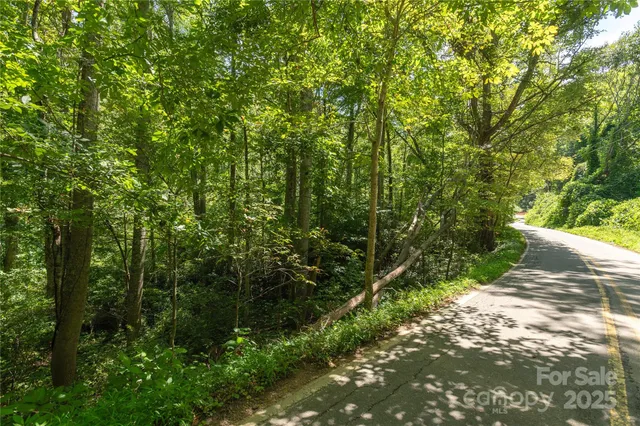 a view of a lush green forest