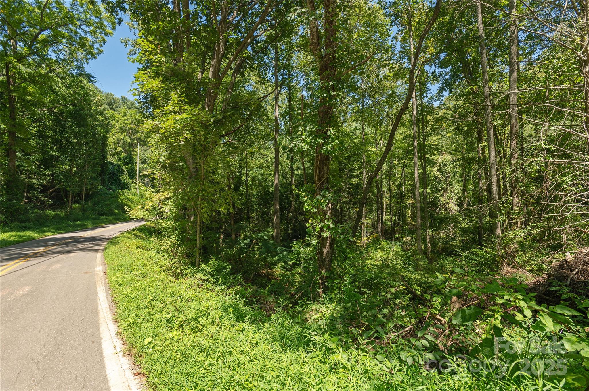 99999 Christian Creek Road Swannanoa, NC 28778 - Photo 9 of 9 a view of a yard with plants and large trees
