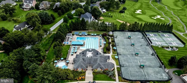 a view of a two chairs in the backyard