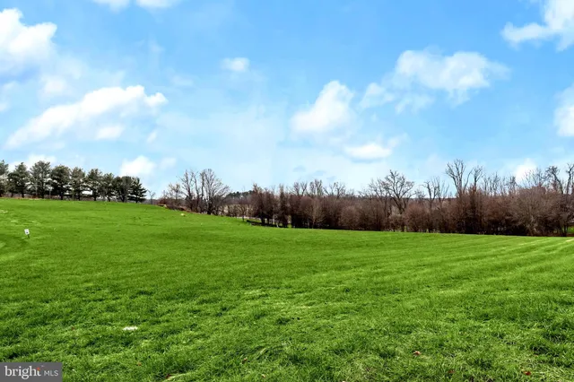 a view of a garden with an apartment