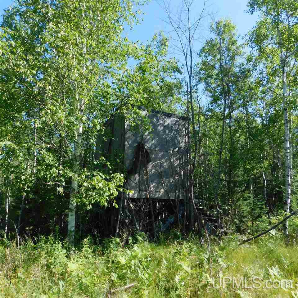 Tbd Tbd Off Fox Farm Road Hermansville, MI 49847 - Photo 4 of 12
