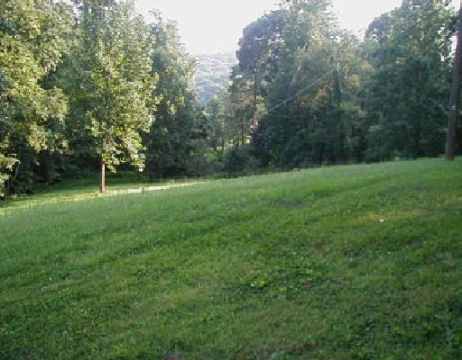 2205 Beagle Club Road Vinton, VA 24179 - Photo 2 of 4 Listing Photo