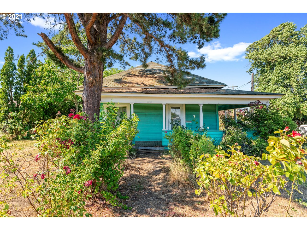1668 Main Street Springfield, OR 97477 - Photo 2 of 24