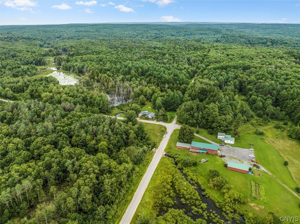 3215 Shultz Road Florence, NY 13316 - Photo 16 of 50